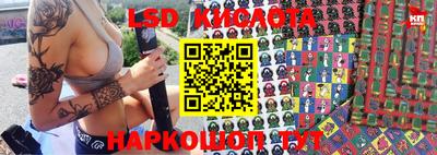 крисы Гусев