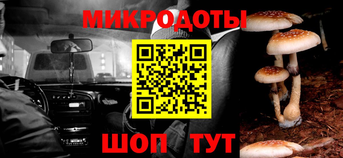 Псилоцибиновые грибы мицелий Прохладный