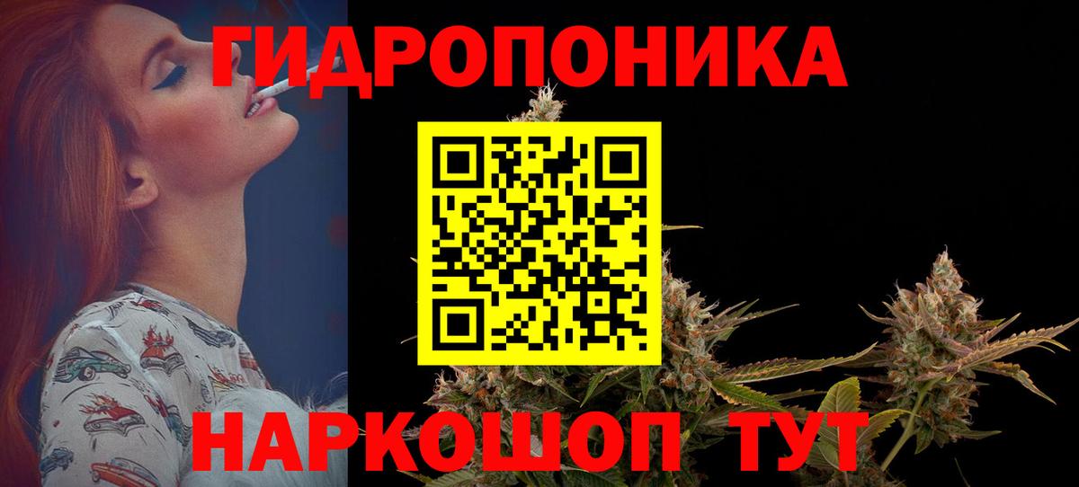 Прохладный  Каннабис планчик  Конопля конопля  МАРИХУАНА конопля  Вход с VPN 